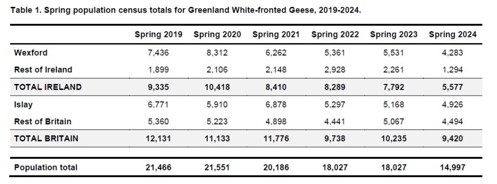 Spring population census table for Greenland White-fronted Geese 2019 - 2024