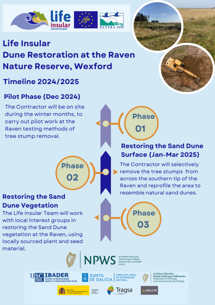 Graphic describing the works to be undertaken at the Raven Nature Reserve, Wexford under the Dune Restoration undertaken by Life Insular during 2024 and 2025